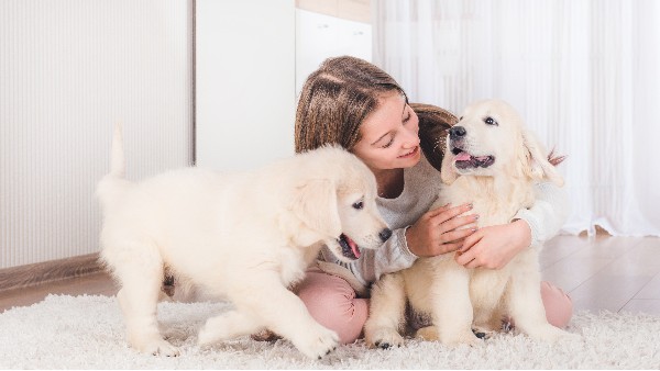 寵物經(jīng)濟(jì)