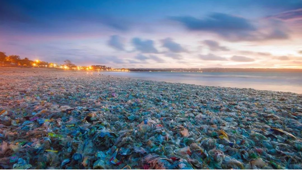 <i style='color:red'>生活垃圾污染</i>！不可忽視！