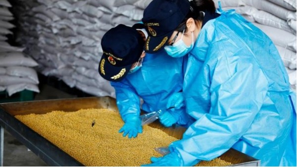 海關查獲糧食下腳料