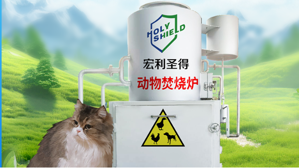 寵物經(jīng)濟(jì)的璀璨十年：陪伴與愛(ài)共舞的黃金紀(jì)元