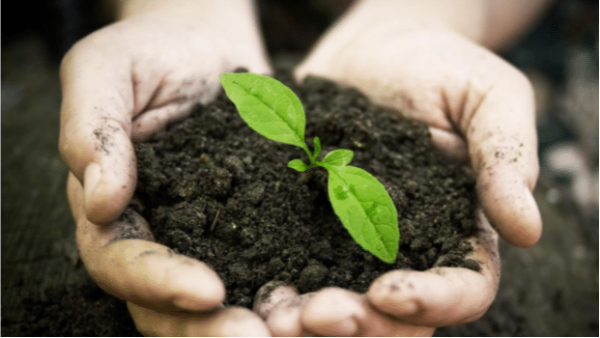 花不了多少錢！東北垃圾處理這些年，小型垃圾焚燒處理設備正當紅