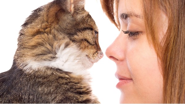 寵物經(jīng)濟(jì)