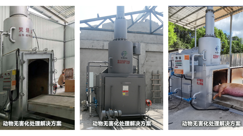 養(yǎng)殖 屠宰場(chǎng)無害化處理