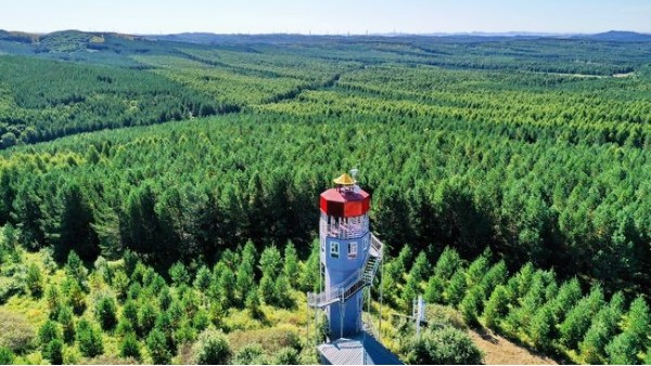 外媒看中國：塞罕壩展現(xiàn)了中國生態(tài)文明建設(shè)奇跡