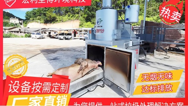 綠色養(yǎng)殖新篇章，病死畜禽高效處理方案