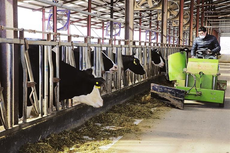 農牧,下腳料滅活