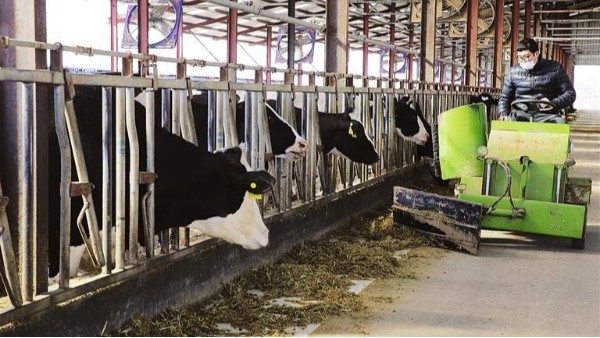 進(jìn)口糧食下腳料如何處理，知名農(nóng)牧企業(yè)首推這款小型工業(yè)垃圾焚燒爐