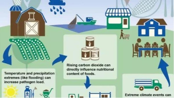 全球極端性天氣頻發(fā)！我們?cè)撊绾伪Ｗo(hù)地球，控制氣體排放？